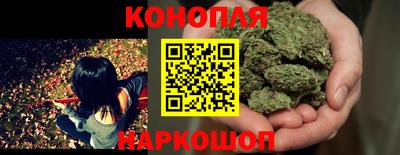 сатива Заволжье