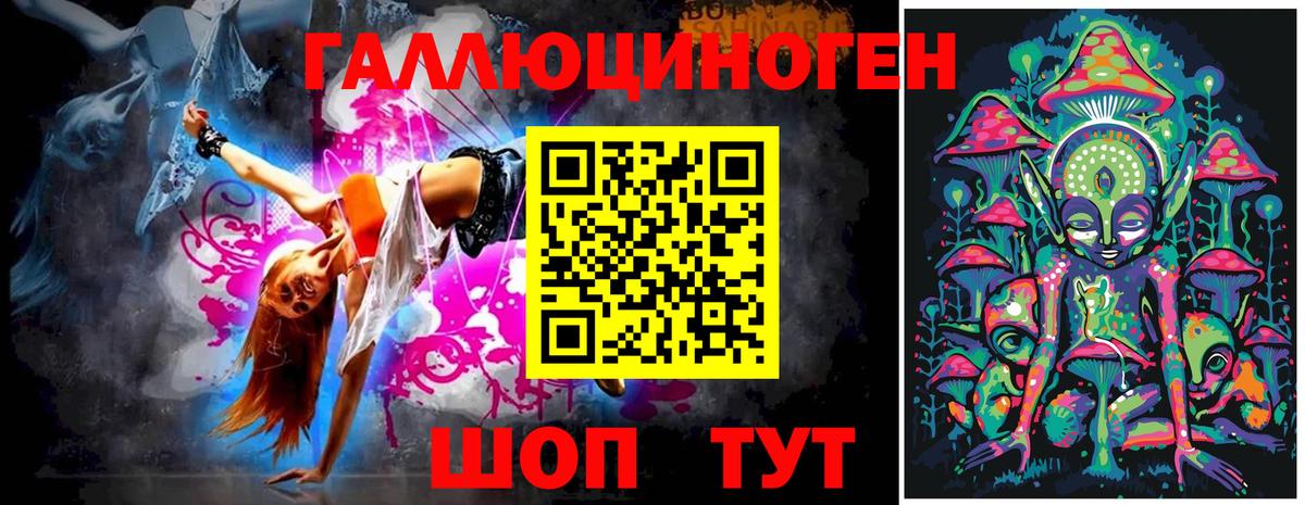 Псилоцибиновые грибы Psilocybine cubensis Минусинск