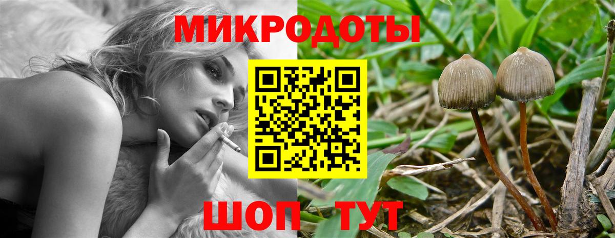 Псилоцибиновые грибы GOLDEN TEACHER  купить наркотик  Псилоцибиновые грибы MAGIC MUSHROOMS  Минусинск  Вход с VPN 